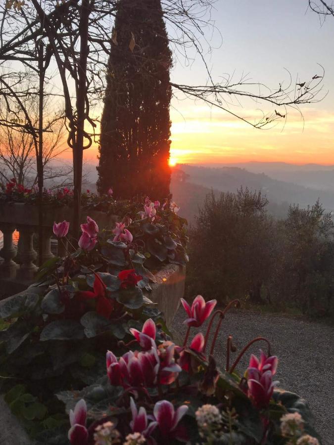 Villa La Piccioncina Firenze Екстериор снимка